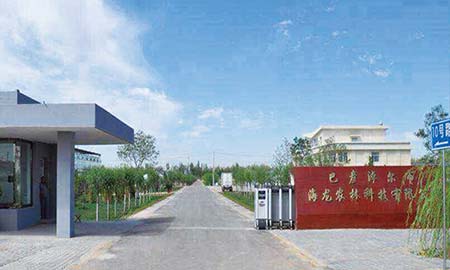 巴彥淖爾市(shi)海龍農林科(ke)技(ji)有(yǒu)限(xian)公(gōng)司