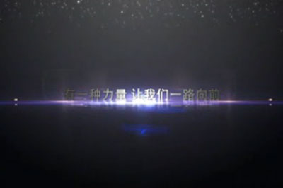 2012年(nian)度大(da)會